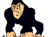 Dibuix Goril·la pintat per gael