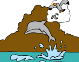 Dibuix Dofí i gavina pintat per meritxell torres urrea