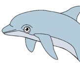 Dibuix Dofí pintat per Dofí
