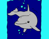 Dibuix Dofí pintat per gemma tudela