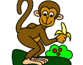 Dibuix Mono pintat per mariona