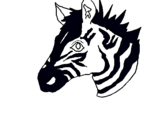 Dibuix Zebra II pintat per marc