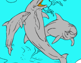 Dibuix Dofins jugant pintat per Biel