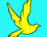 Dibuix Colom de la pau al vol  pintat per carla villabau