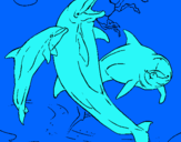 Dibuix Dofins jugant pintat per alba