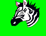 Dibuix Zebra II pintat per sergio