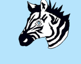 Dibuix Zebra II pintat per denise