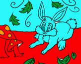 Dibuix Conill pintat per xavIER