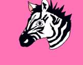 Dibuix Zebra II pintat per zebra