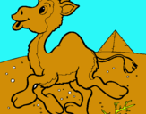 Dibuix Camell pintat per laia