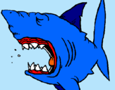 Dibuix Tiburón pintat per dani