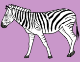 Dibuix Zebra pintat per zebra