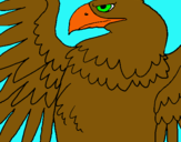 Dibuix Àguila Imperial Romana pintat per POL