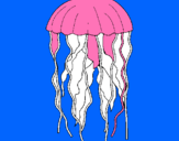 Dibuix Medusa pintat per UNAI