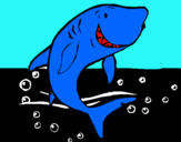 Dibuix Tiburón pintat per marc