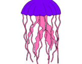 Dibuix Medusa pintat per medusa