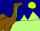 Dibuix Camell pintat per yuri