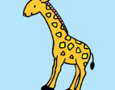 Dibuix Girafa pintat per ARIADNA