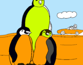 Dibuix Família pingüí  pintat per POL