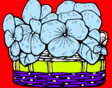 Dibuix Cistell de flors 12 pintat per nil