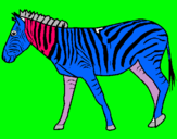 Dibuix Zebra pintat per Biel