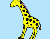Dibuix Girafa pintat per genis