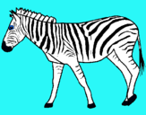 Dibuix Zebra pintat per Emma Suy