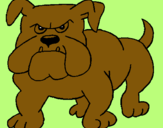 Dibuix Gos bulldog pintat per gtuiopasertasertuio