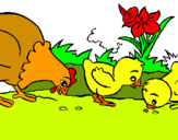 Dibuix Gallina i pollets pintat per nuri