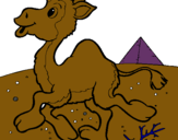Dibuix Camell pintat per iurok