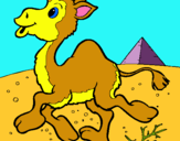Dibuix Camell pintat per NÚRIA DALMAU
