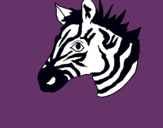 Dibuix Zebra II pintat per toni