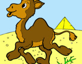 Dibuix Camell pintat per Núria