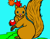 Dibuix Esquirol pintat per gerard marc guillem nuria