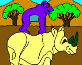 Dibuix Rinoceront i mono pintat per OWEN