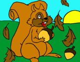 Dibuix Esquirol pintat per Biel i Berta