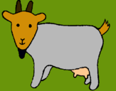Dibuix Cabra pintat per CABRETA