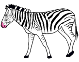 Dibuix Zebra pintat per Joanna