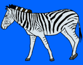 Dibuix Zebra pintat per maria