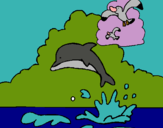 Dibuix Dofí i gavina pintat per laura