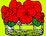 Dibuix Cistell de flors 12 pintat per darlene y guiliano