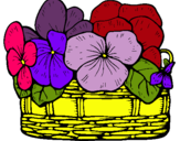 Dibuix Cistell de flors 12 pintat per violeta