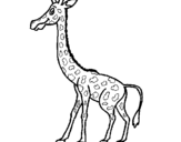 Dibuix Girafa pintat per h