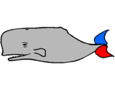 Dibuix Balena blava pintat per NIL