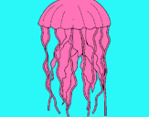 Dibuix Medusa pintat per juan carlos