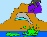 Dibuix Dofí i gavina pintat per waximaki