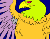 Dibuix Àguila Imperial Romana pintat per eloi