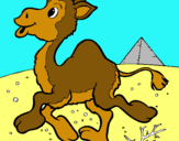 Dibuix Camell pintat per Colito