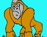 Dibuix Goril·la pintat per uygytyg