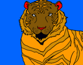 Dibuix Tigre pintat per MARIA